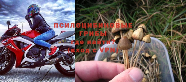 сатива Балабаново